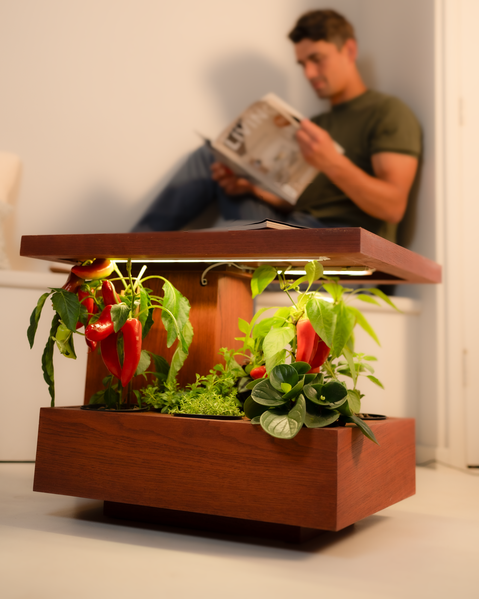 Pluk One – Plant table Brown - Image 4