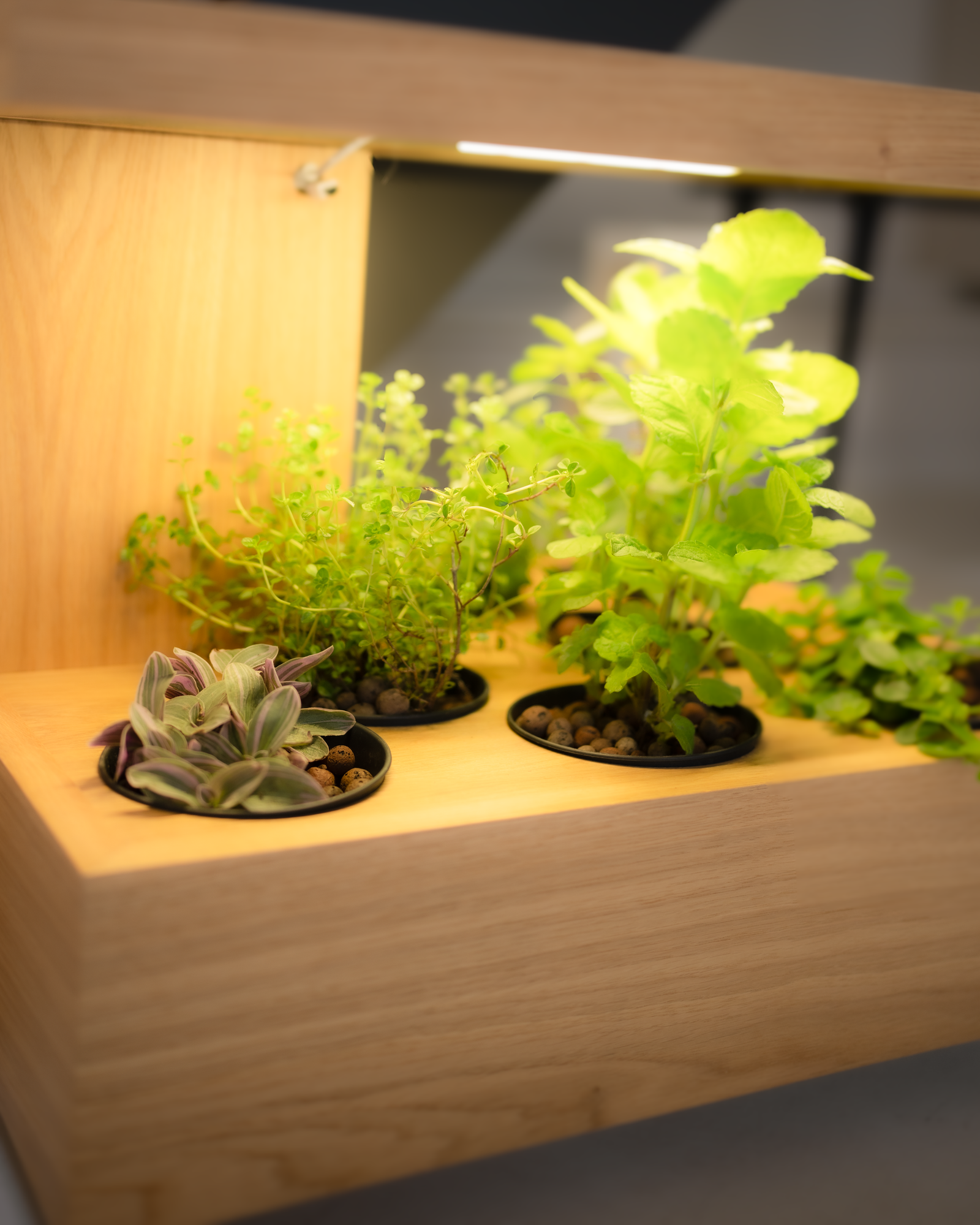 Pluk One – Plant table Yellow - Image 4