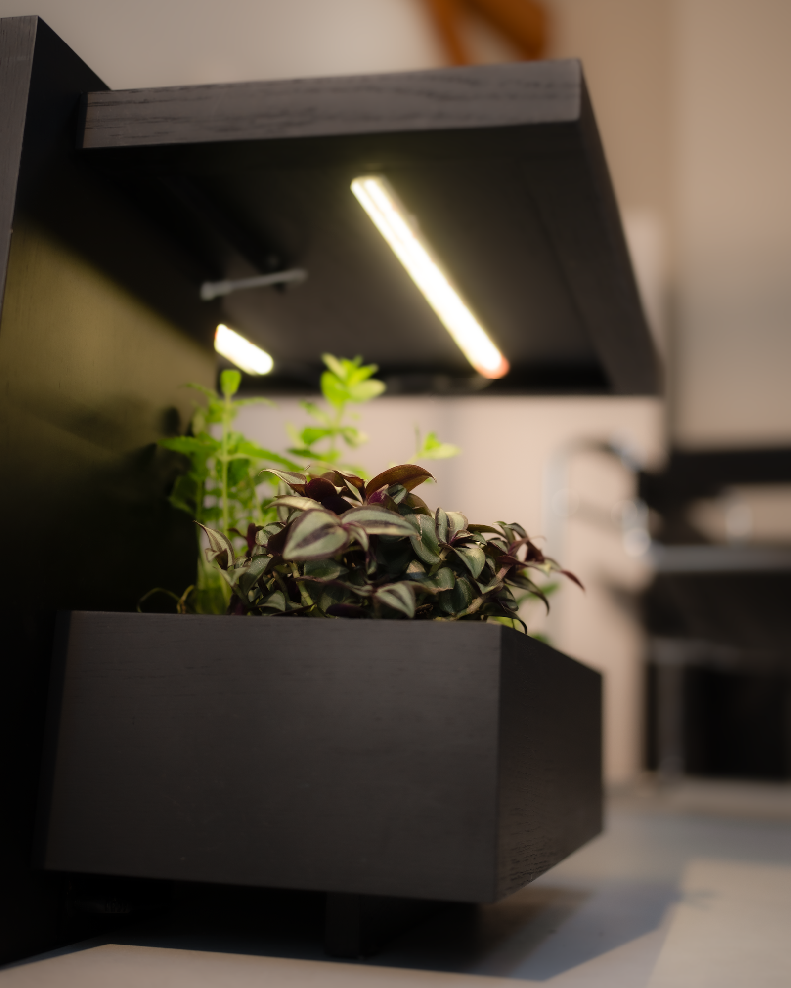 Pluk One – Plant table Black - Image 2