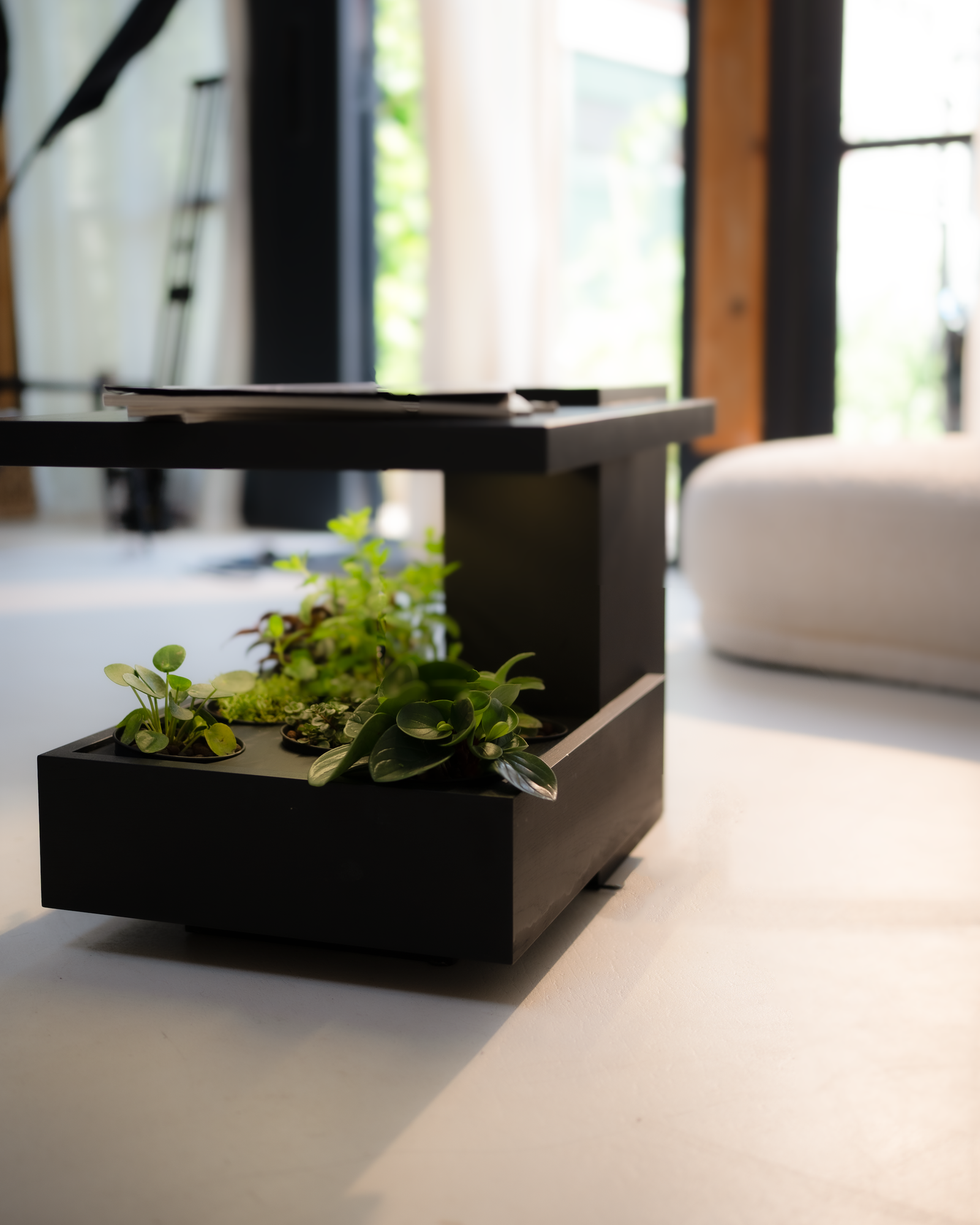 Pluk One – Plant table Black - Image 3