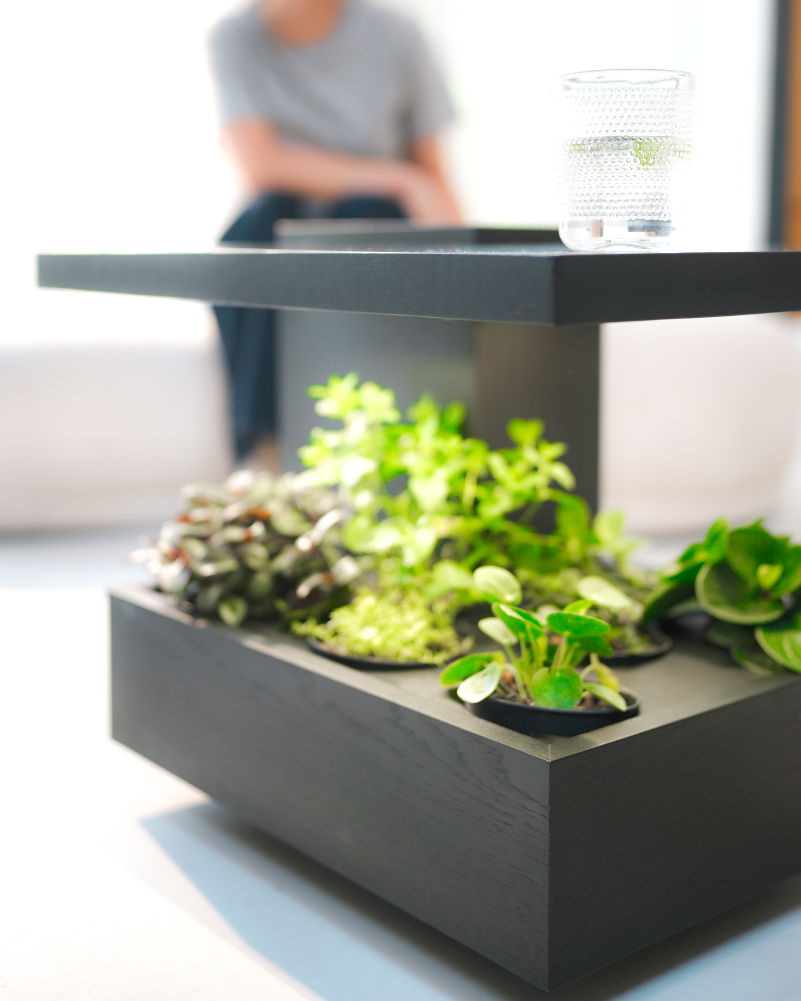 Pluk One – Plant table Black - Image 4